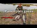 Download Lagu MANCING KAKAP PUTIH !! PAS KETEMU TITIK KUMPULNYA.