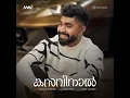 Kasavinaal