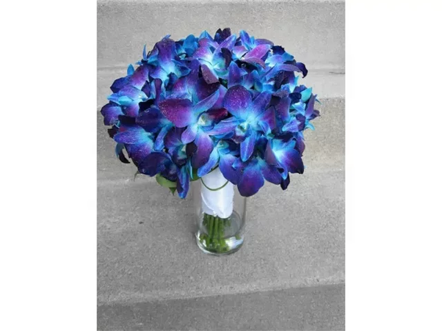 BLUE ORCHID AND ROSE BOUQUET BEAUTIFUL ORCHID FLOWER IMAGE IDEAS