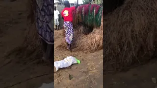 الفودو أو السحر الأسود 