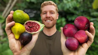 Fruit Is Falling Faster Than I Can Pick It!
