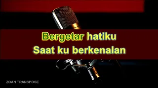 Cinta_Vina Panduwinata Original Karaoke (Nada pria)