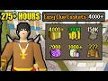 This Update Made Easy Clues INSANE UIM Collection Log Completionist OSRS