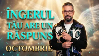 M-a răvășit complet această etalare🥹Cât de personal poate deveni un răspuns?#divineguidance #tarot 💞