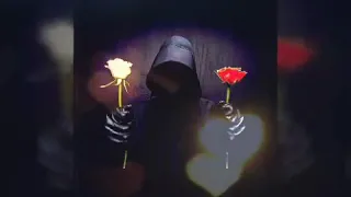 نغمه تامر عاشور قلولو سماح دندنها