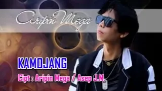 aripin mega kamojang