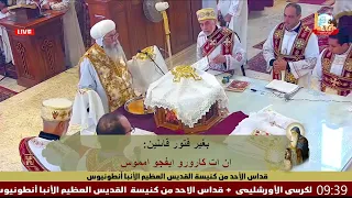 القداس الغريغورى كاملا لنيافة الانبا انطونيوس مطران القدس بكنيسة الأنبا انطونيوس المعادي  القداس الغريغورى كاملا لنيافة الانبا انطونيوس مطران القدس بكنيسة الأنبا انطونيوس المعادي