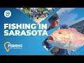 Sarasota Fishing All You Need to Know FishingBooker