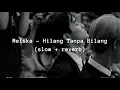Download Lagu Meiska - Hilang Tanpa Bilang (slow + reverb)