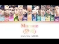 SEVENTEEN Mansae Eng Color Coded