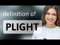 Plight what is PLIGHT meaning