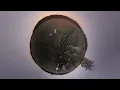 José González - Every Age (Official Music Video)