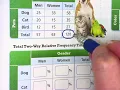 Lesson 4 5 Two Way Relative Frequency Tables