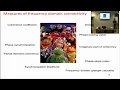 Connectivity analysis in MEG and EEG data