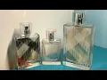 Burberry Brit EDP vs Burberry Brit EDT Brit Sheer a bit of Brit Rhythm Rhythm Floral chat