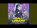 Download Lagu Gali Lobang