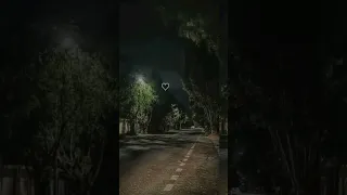 كان قلبي يومها ضايع 