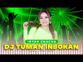 Download Lagu DJ Tuman Inbokan - Intan Chacha | DJ REMIX TIKTOK (Official Audio Visulaizer) MP3