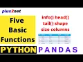 Five important basic Pandas DataFrame functions info head tail shape size ndim columns