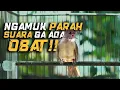 Download Lagu Kapas Tembak Ngamuk Hari Ini! Suara Makin Rapet \u0026 Tembak Terus!