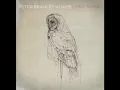 Peter Bradley Adams - The Longer I Run.mov