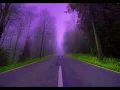 Gérard de Palmas -  sur la route toute la sainte journée