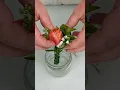 Day 14 100 Days 100 Bouquets Grooms Boutonniere