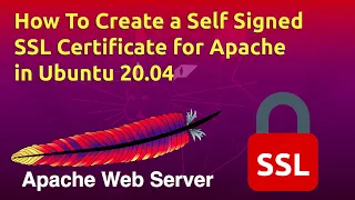 How To Create a Self Signed SSL Certificate for Apache in Ubuntu 20 04