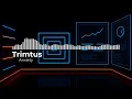 Download Lagu Trimtus – Angst