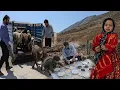 Download Lagu buying sheep and Engineer Babazadeh's decision to establish the largest nomadic place for the coast