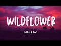 Download Lagu Billie Eilish - WILDFLOWER (Lyrics)
