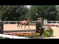of ROYAL SEVEN ridden by TEDDI PRITZKER from ShowNet