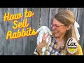How to sell rabbits Cox Homestead