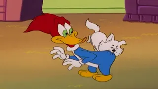 Os Problemas do Pica-Pau com Cachorros | Pica-Pau em Português