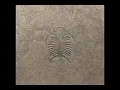 Download Lagu Converter - Blast Furnace (2000-CD, Album CD, Mini-Box, Ltd) [Ant-Zen act 113.1 Germany] CD, Album