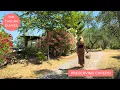 Download Lagu IS OUR TUSCAN HOUSE HAUNTED? We've Both Seen Something...