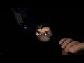 Monkey s Paw - Phasmophobia