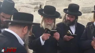 צאצאי הרה צ רבי בנימין זאב חשין זצוק ל בעלייה על קברו 