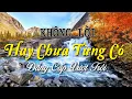 Download Lagu Nhạc Không Lời Hay Chưa Từng Có, Hòa Tấu Guitar \u0026 Saxophone Đẳng Cấp Vượt Trội