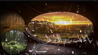 تمر بنا الأيام سرعى كاننا دندنها