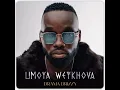 DAMA DRIZZY _UMOYA WEYKHOVA FT WEBSTAR SA & DJ BKABZA