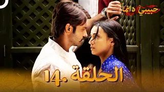 حبيبي دائما الحلقة 14 