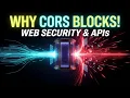 How to Fix CORS Errors Visual Guide Programming Coding