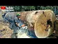 Download Lagu Pemotong Kayu Besar Profesional, Pemotongannya Benar-Benar Rapi Tak Ada Selisih