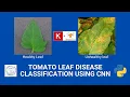 Tomato leaf s disease classification using CNN for binary class easy explain codewithsk8