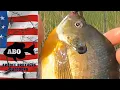 ABO Ross tried a new lake from MN DNR Lakefinder Found some Bluegills