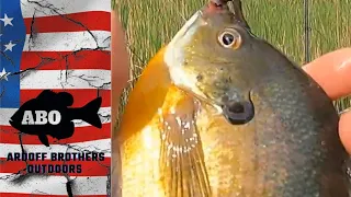 ABO Ross tried a new lake from MN DNR Lakefinder Found some Bluegills