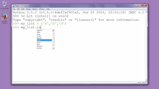 How to add an element in a list at specified index in Python - example insert method