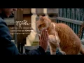 Download Lagu Satellite Moments(Light Up The Sky) | Charlie Fink, Luke Treadaway (GreatGeeks Cover)