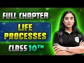 Channel